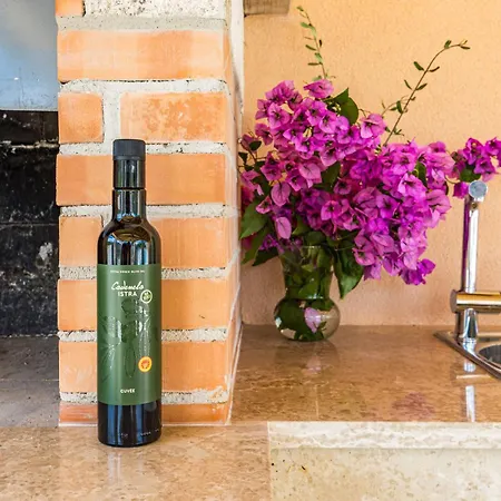 Vila Bianca - Family Vacation In Rural Istria Vodnjan